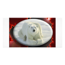 ALPHA POLAR BEAR