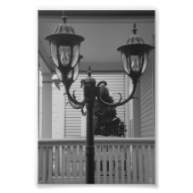 Alphabet Letter Photography Y7 Black and White 4x6