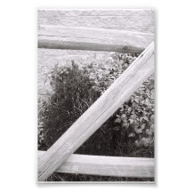 Alphabet Letter Photography Z2 Black and White 4x6