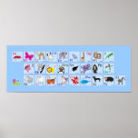 Alphabets animaux sur le bleu poster