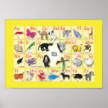 Alphabets: My ABC with 26 animals