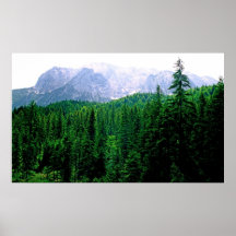 Alpine Forest Print