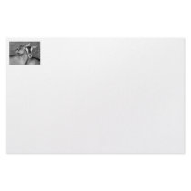 Alpine/Oberhasli goat does sisters photograph bw Stationery Design