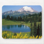 Alpine Scenic, Washington Mouse Mats