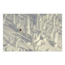 Alpine Skier in thick snowghosts at Big Photo Print