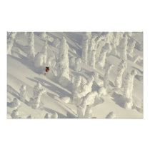 Alpine Skier in thick snowghosts at Big