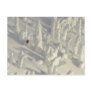 Alpine Skier in thick snowghosts at Big Post Card