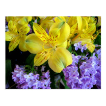 Alstroemeria and  Lilacs Flowers Postcard