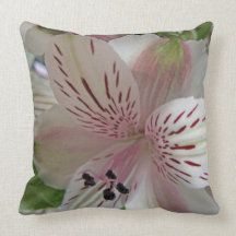 Alstroemeria Flower American Mojo Cushion/Pillow