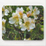 alstroemeria pretty flowers mouse mat