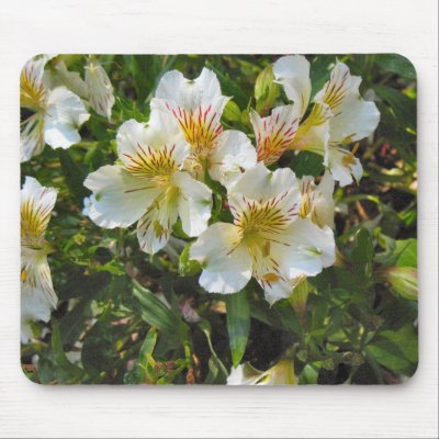 alstroemeria pretty flowers mouse mat by DonnaGrayson_Photos