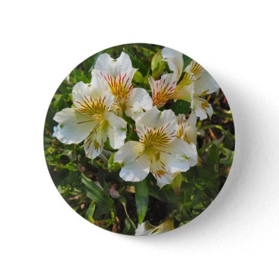 alstroemeria pretty flowers pin by DonnaGrayson_Photos