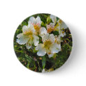 alstroemeria pretty flowers pin buttons