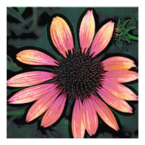 Altered Art Pop Art Hot Pink Grunge Flower Photo Print