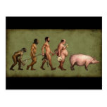 Altered Evolution Postcards