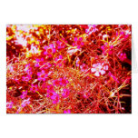 Altered Pink & Orange Flower Mist