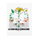 Alternation Of Generations (Flower Life Cycle) Post Cards