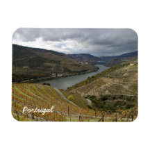 Alto Douro Wine Region Premium Magnet