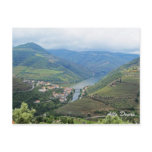 Alto Douro, World Heritage by UNESCO Postcard