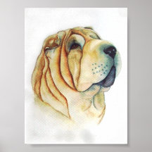 Always A Lady Posters