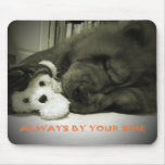 Always By Your Side