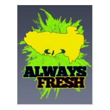 Always Fresh Tibet Postcard