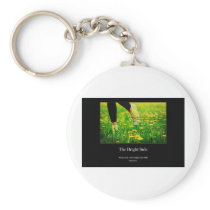 Always look on the bright side of life, insurance. keychains