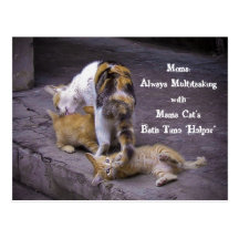 Always Multitasking: Mama Cat's Bath Time Helper Post Card