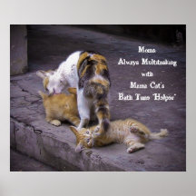 Always Multitasking: Mama Cat's Bath Time Helper Poster