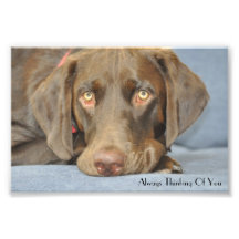 Always thinking of you photographic print
