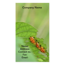 Always with you business card templates