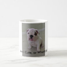 Am I Cute, or What??? Mug