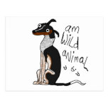 Am Wild Animal Post Card