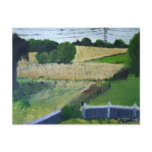 Amagansett Field Postcards