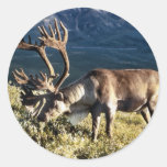 Amants de caribou/renne adhésif