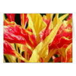 AmaranthOrnamental Card