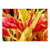 AmaranthOrnamental Card