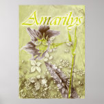 amarilys poster