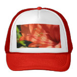 Amaryllis 01 Hat