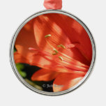 Amaryllis 01 Ornament