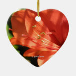 Amaryllis 01 Ornament