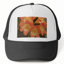 Amaryllis 2