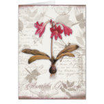 Amaryllis Belladonna Greeting Card