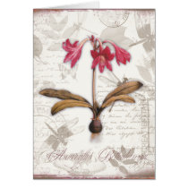 Amaryllis Belladonna Greeting Card