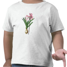 Amaryllis Belladonna, from 'Les Liliacees', engrav T Shirts