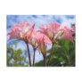 Amaryllis belladonna post cards