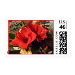 Amaryllis Bouquet Stamps
