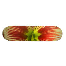 Amaryllis de papillon planches à roulettes