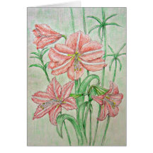 amaryllis flower greeting cards