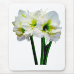 Amaryllis Green Princess Mousepads